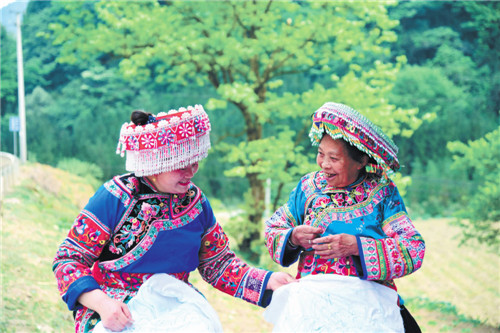 “非遗”进农家