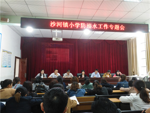 沙河镇小学开展防溺水安全教育活动