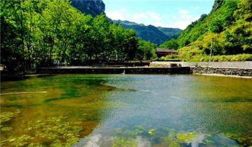 旺苍县：“土货”巧变“山珍”