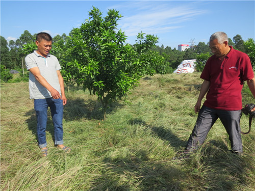 IMG_5121.jpg IMG_5121.jpg