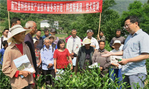 南江县：科技特派团在行动 脱贫攻坚有保障