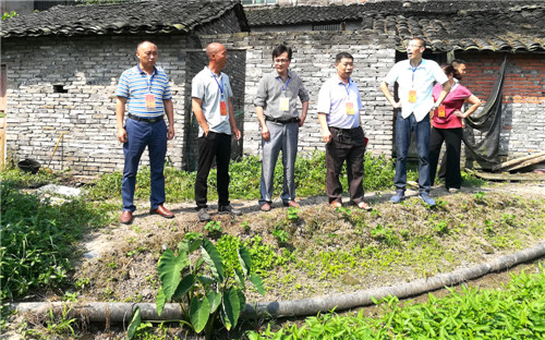 人大代表视察农贸市场拟建地、车站拟建地.jpg