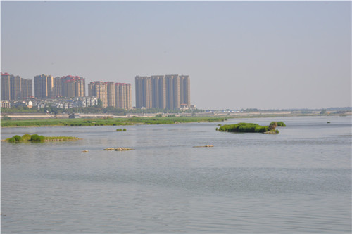 岷江.jpg
