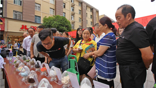 现场图 陈加普摄_副本.jpg