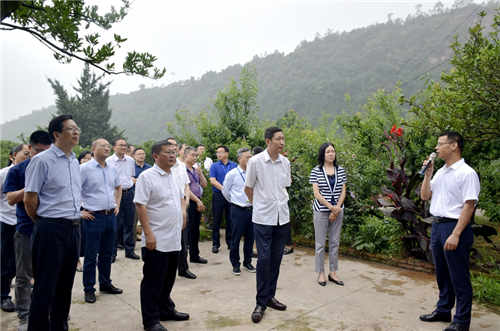 参会嘉宾聆听丹棱桔橙发展历史.jpg