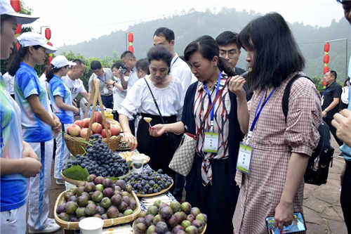 嘉宾争相品尝丹棱桔橙(1).jpg