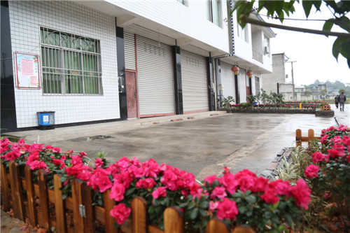 村民庭院鲜花绽放。      彭林摄.jpg