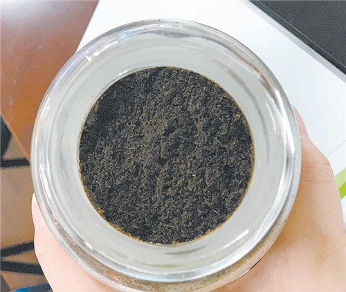 中科院成都生物所推出绿色新技术 餐厨垃圾快速“变”肥料