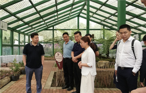 国家林草局副司长王俊中调研洪雅县森林康养产业