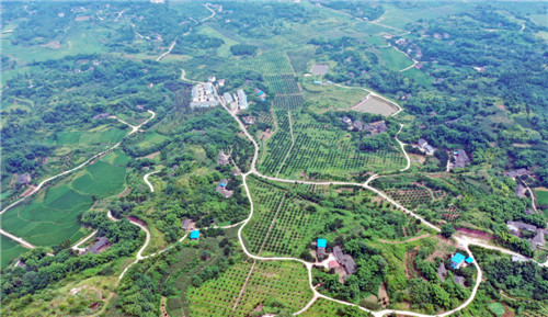 广安：精准扶贫农旅结合荒山变景区