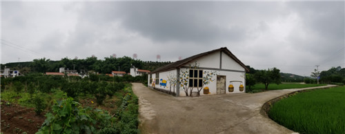 百家池村：巨变五年间 旧貌换新颜