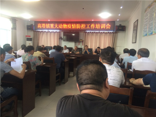 高塔镇：防控非洲猪瘟出实招