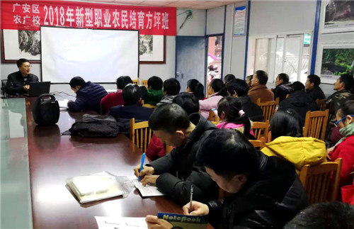 马晓彬正在培训讲课.jpg