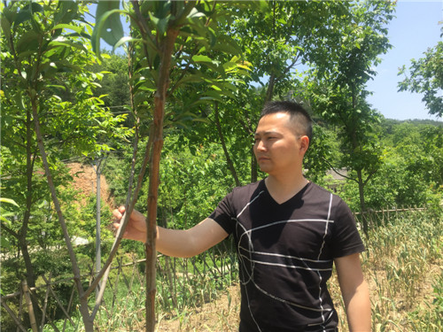 微信图片_2019080810412123_副本.jpg