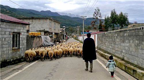 《致富路上》.jpg