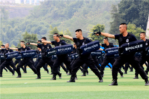 履行好新时代职责使命  誓做伟人故里忠诚卫士