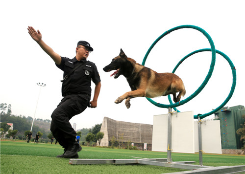 广安区公安分局警犬勤务展示.jpg