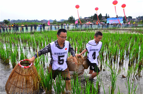 大人小孩齐上阵，体验亲子乐趣.jpg