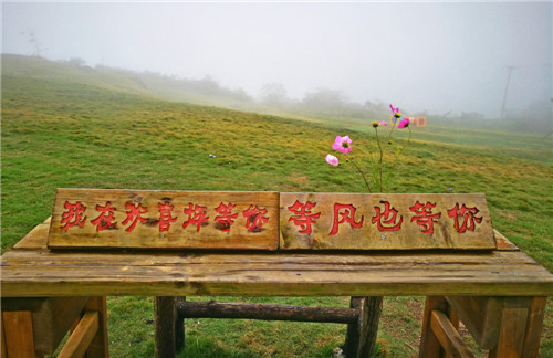 前锋欢喜坪一角.jpg