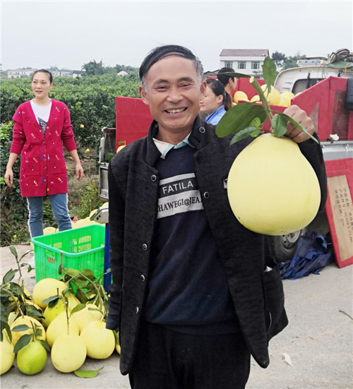 丁仕云用独臂向笔者展示他的柚子.jpg