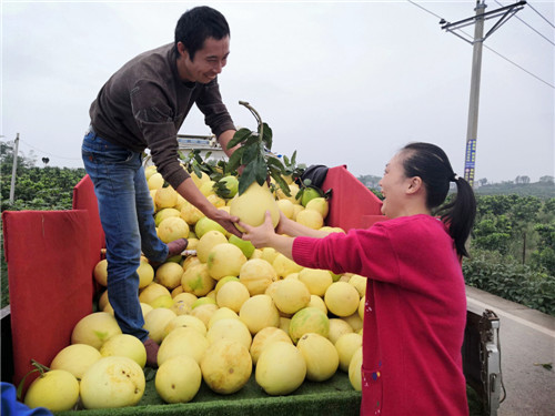 装车运往攀枝花销售.jpg