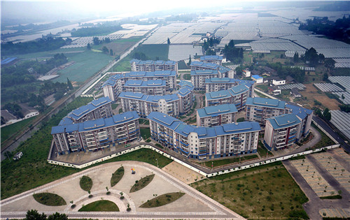 果园新村.jpg