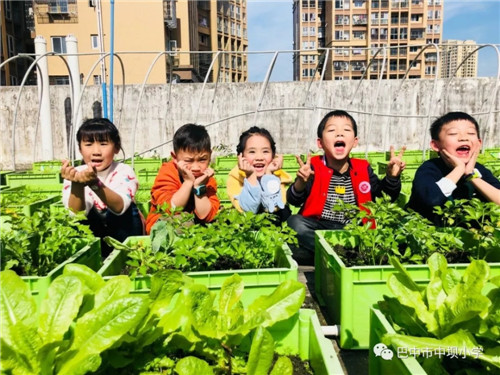 中坝小学举办首届快乐生活节