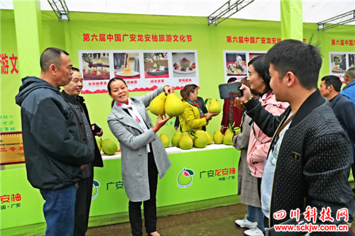 柚农向游客介绍龙安柚_副本.jpg 柚农向游客介绍龙安柚_副本.jpg