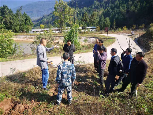 通江县：科技服务送到地头