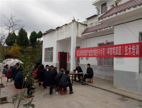 南江县科技特派团送技术到农户