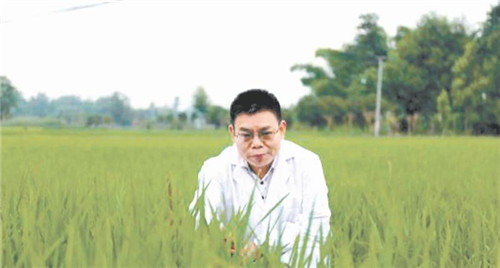 陈学伟教授研究成果获腾讯300万奖励