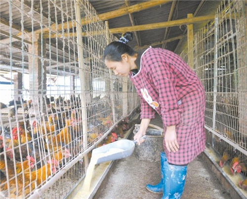 12868515138691160_副本.jpg 12868515138691160_副本.jpg