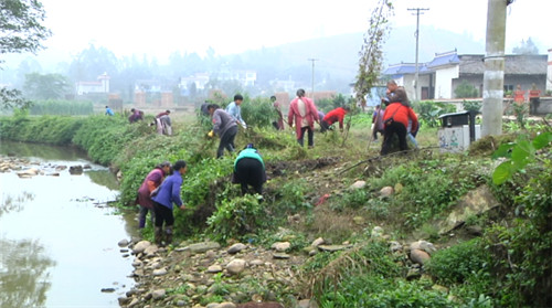 村民义务劳动美化居住环境.jpg