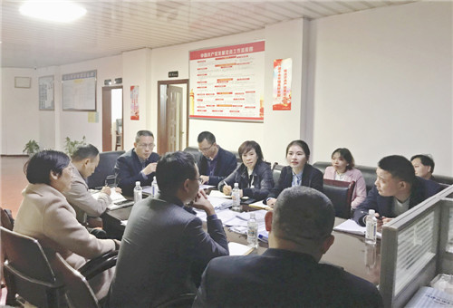 广安市司法局督导武胜县律师行业主题教育及违法违纪专项整治工作