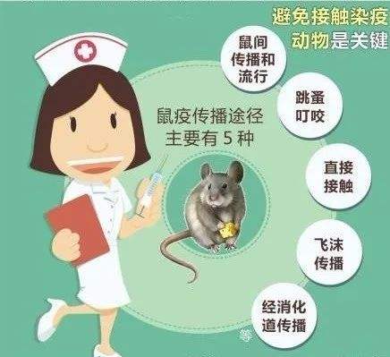 鼠疫可防可治