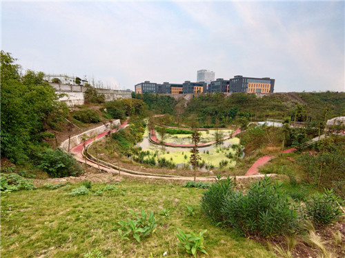 枣山园区：守住绿水青山 共享生态宜居
