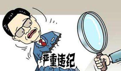 公职人员“主动”退还报销款为哪般？