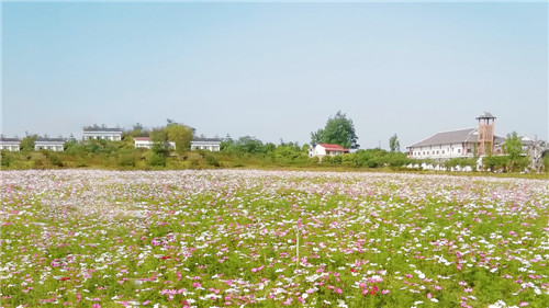 姚家河湿地公园.jpg