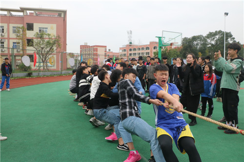 拔河 (1).jpg