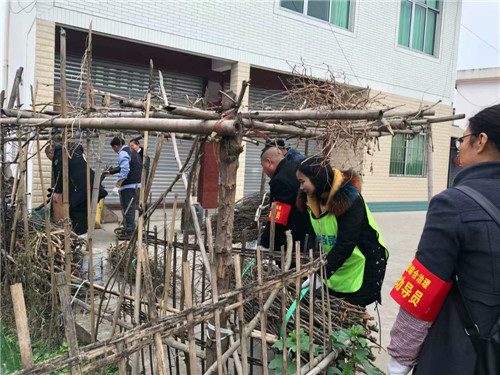 青神县：专项整治全面开展  主题教育攀新高度