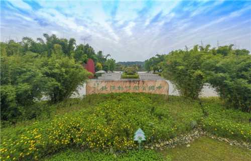 湿地公园-古良驹.jpg