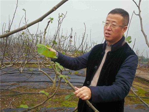 游勇：财富密码的破译者