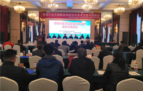 西南片区大蒜新品种新技术推介观摩会在彭州召开   