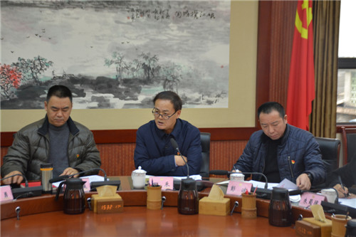 田禾组长到会指导.jpg