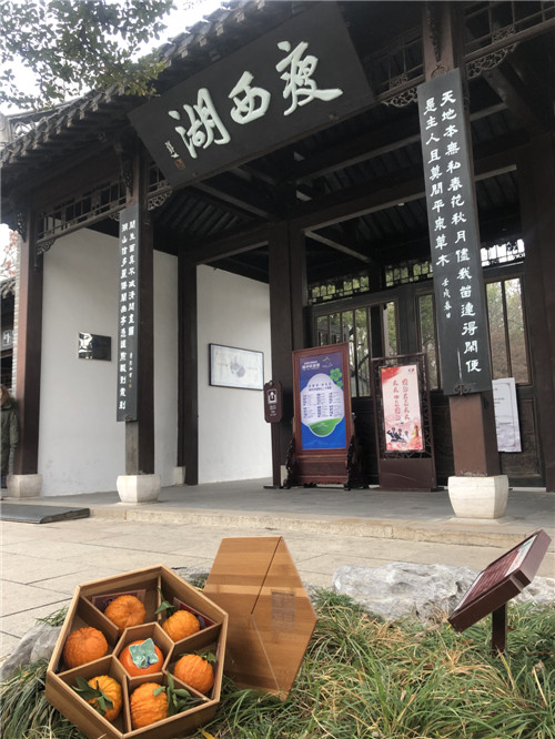 青神椪柑与扬州瘦西湖“亲吻”.jpg