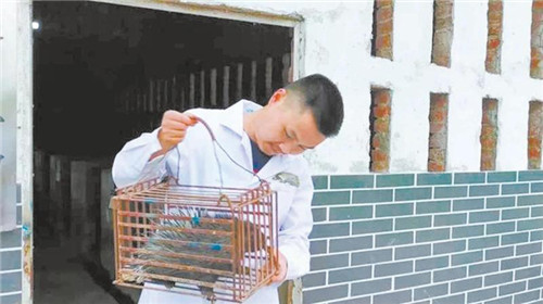 唐中洋：为消费者送上“山珍美味”