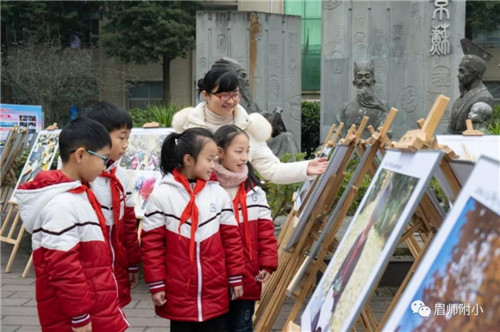 榛榛银杏景  菁菁校园情