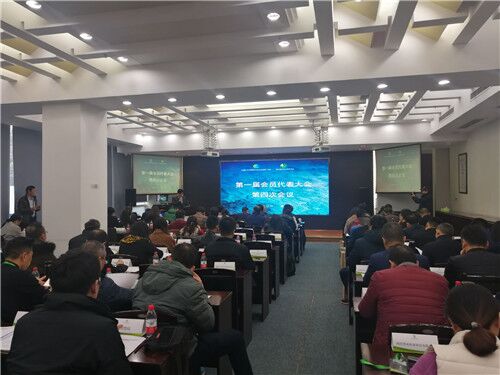 四川省绿色发展促进会召开第一届会员代表大会第四次会议