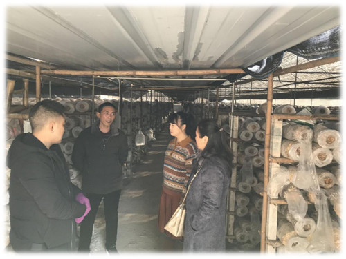 峨眉山市科协调研菌业协会工作