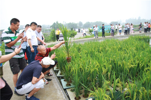IMG_0140_看图王.jpg